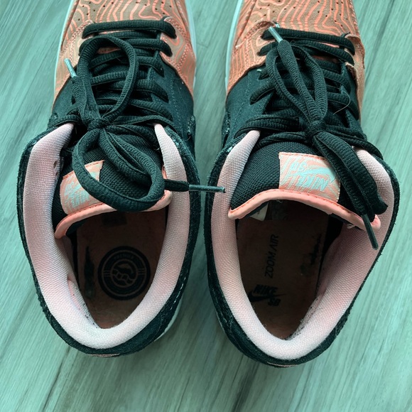 nike sb premier fish ladder